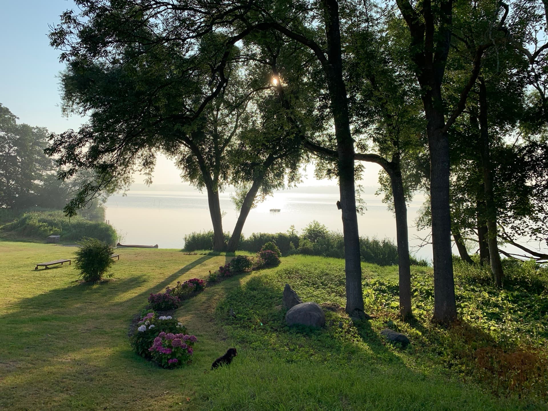 Blick vom Gut durch alte Bäume auf den Plöner See im Morgenlicht